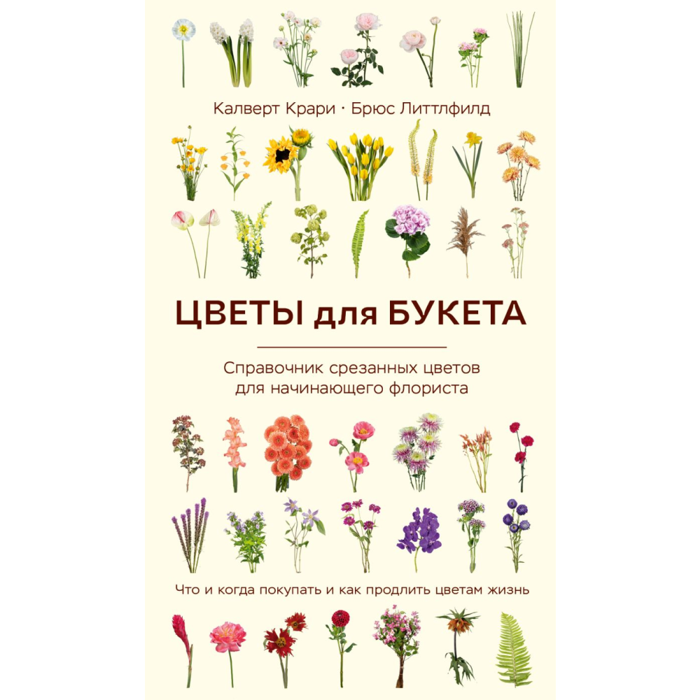 Книга 