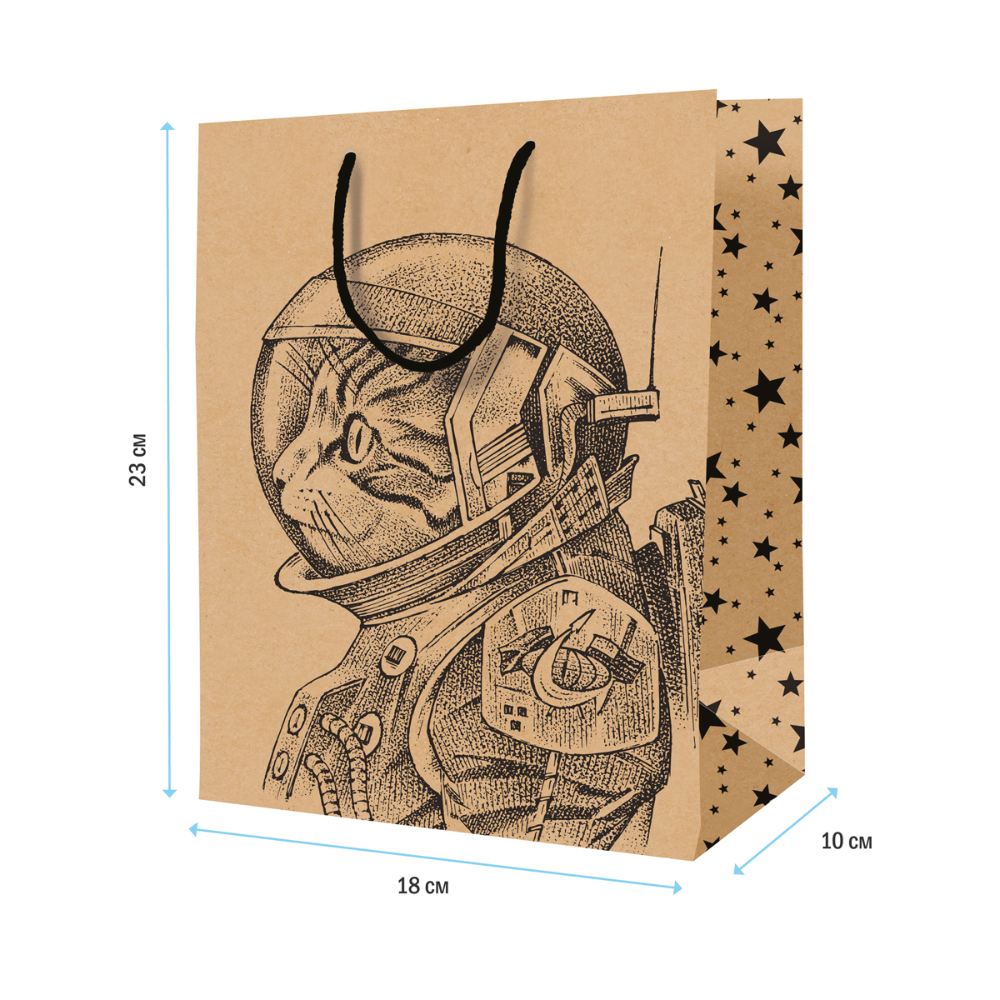 Пакет бумажный подарочный 