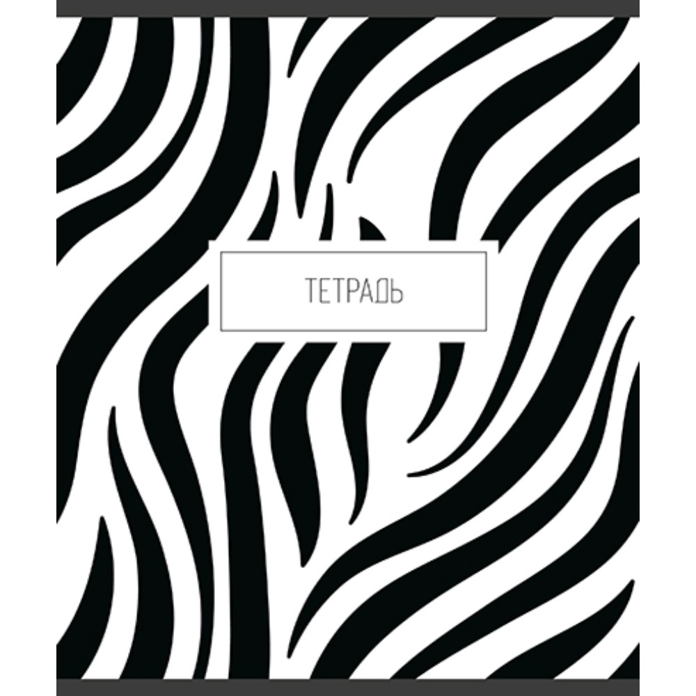 Тетрадь 