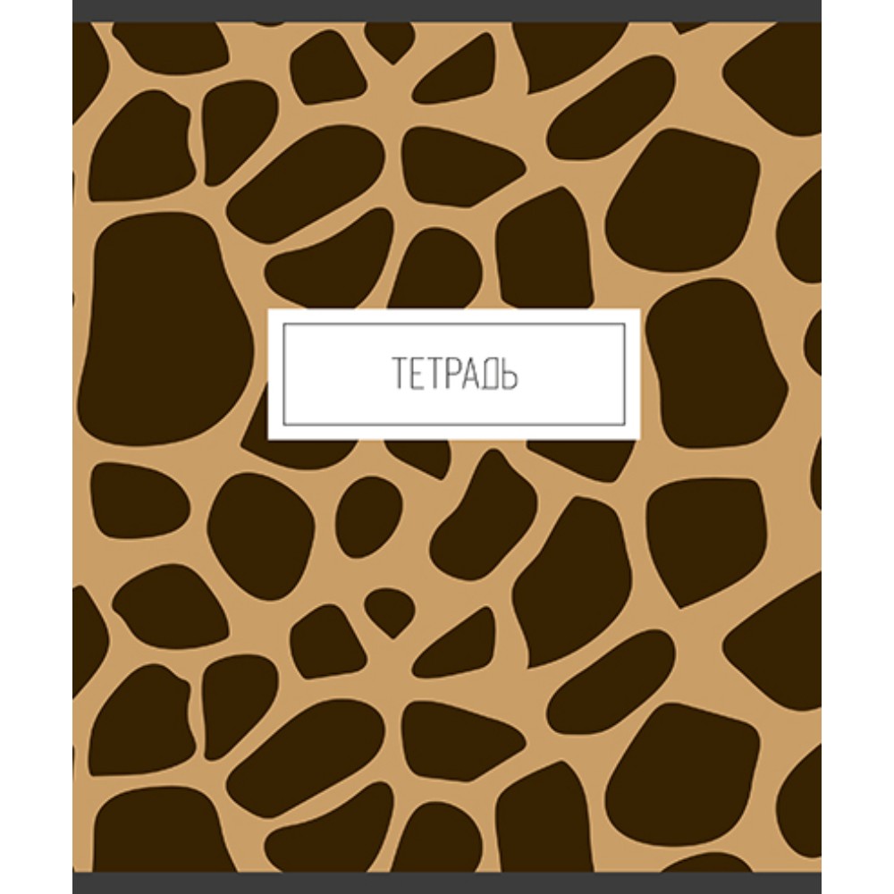Тетрадь 