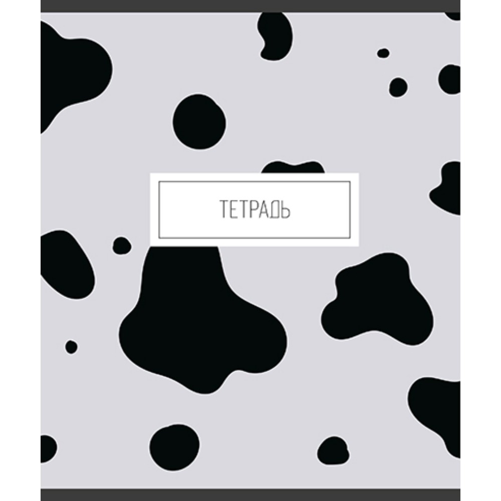 Тетрадь 