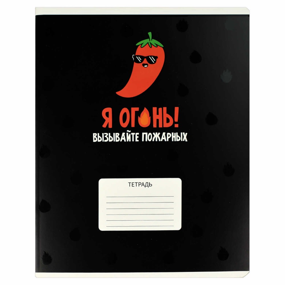 Тетрадь 