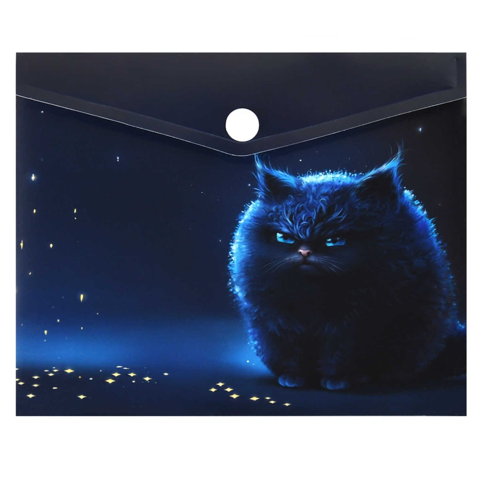 Папка-конверт на кнопке 