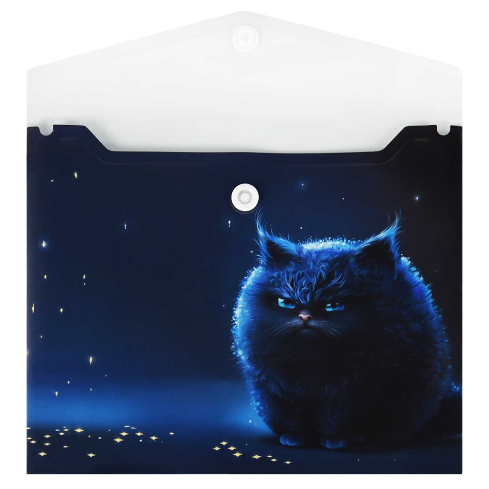 Папка-конверт на кнопке 