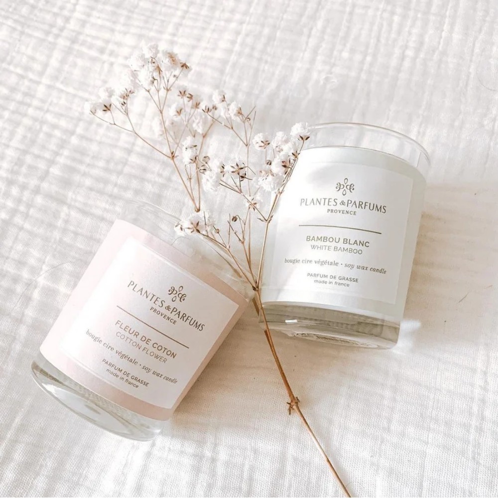 Свеча ароматическая PLANTS&PARFUMS 