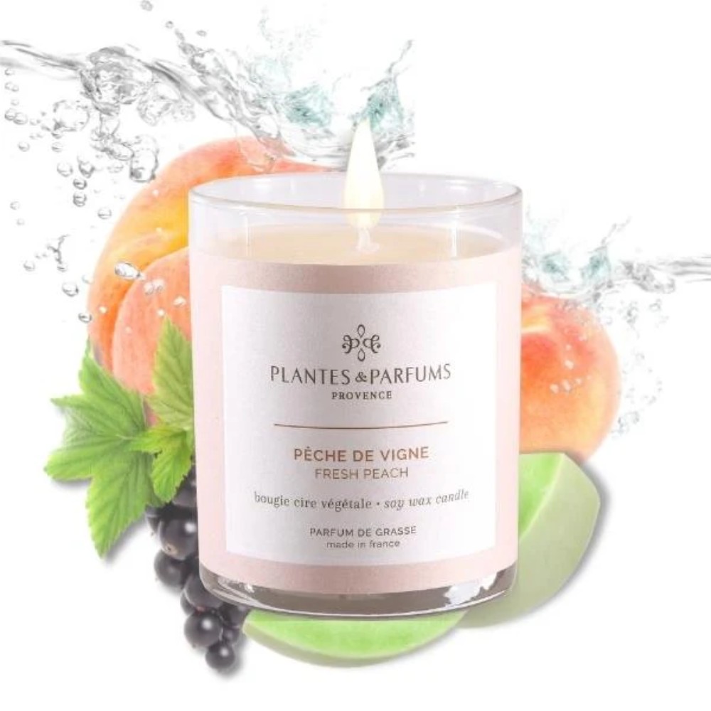 Свеча ароматическая PLANTS&PARFUMS 