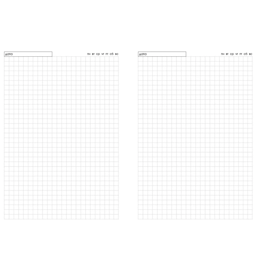 Ежедневник недатированный 