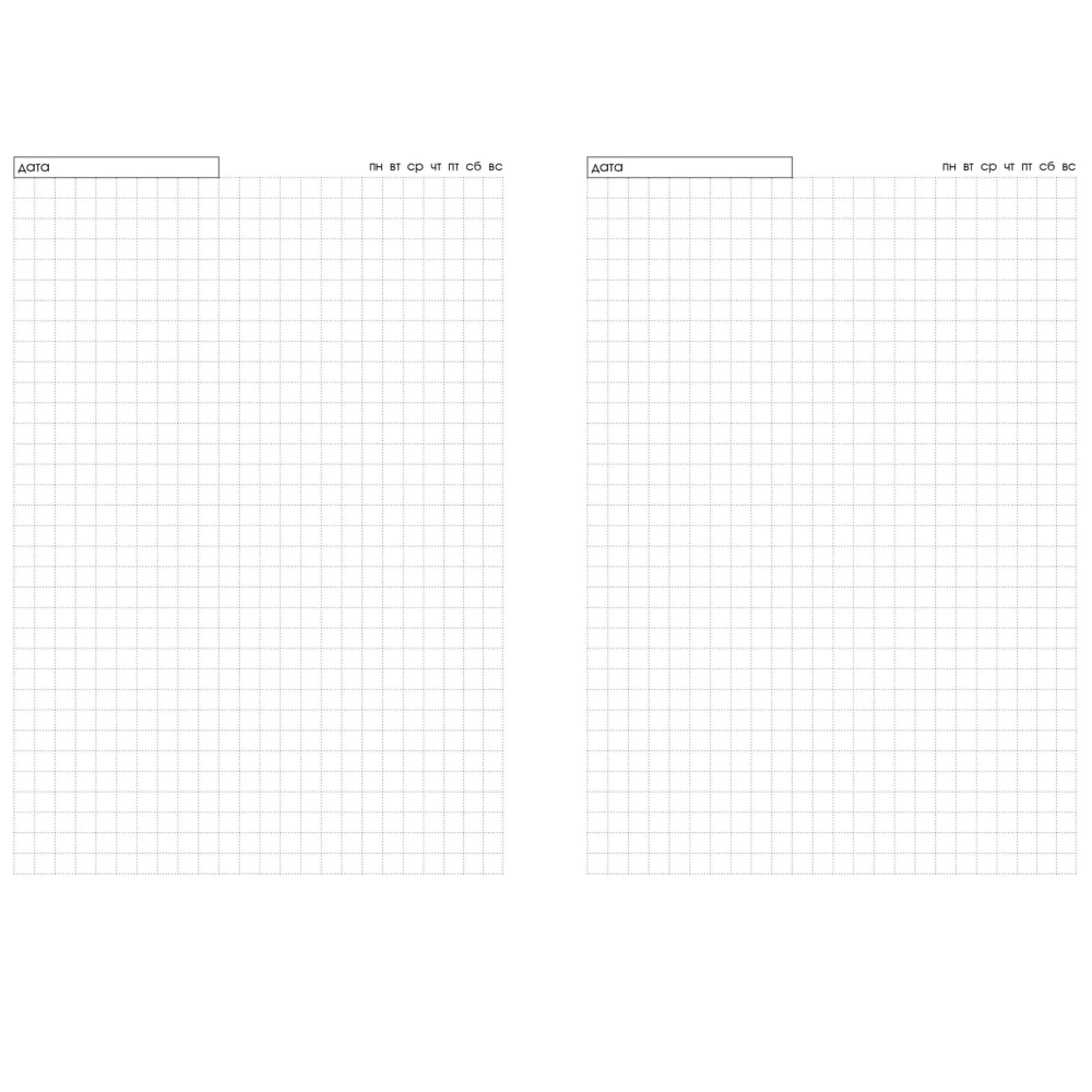 Ежедневник недатированный 