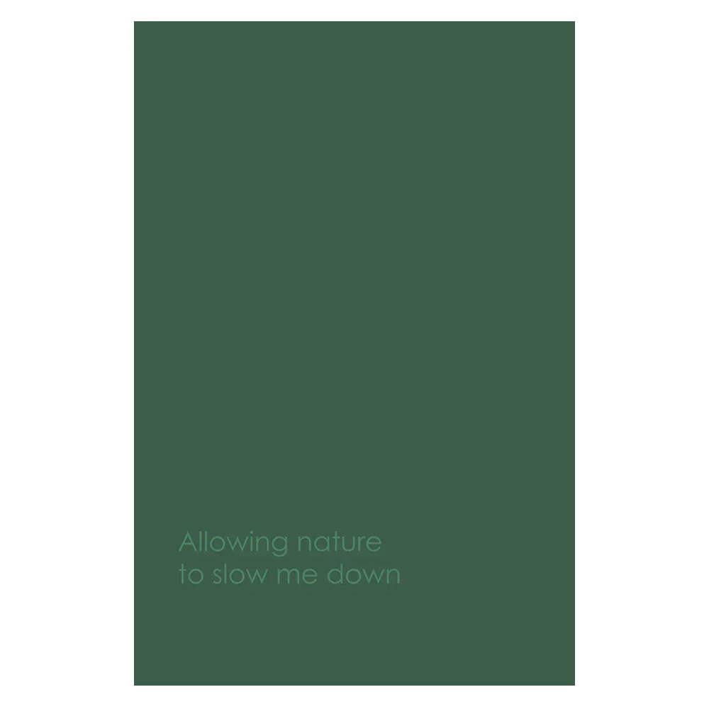 Ежедневник недатированный 