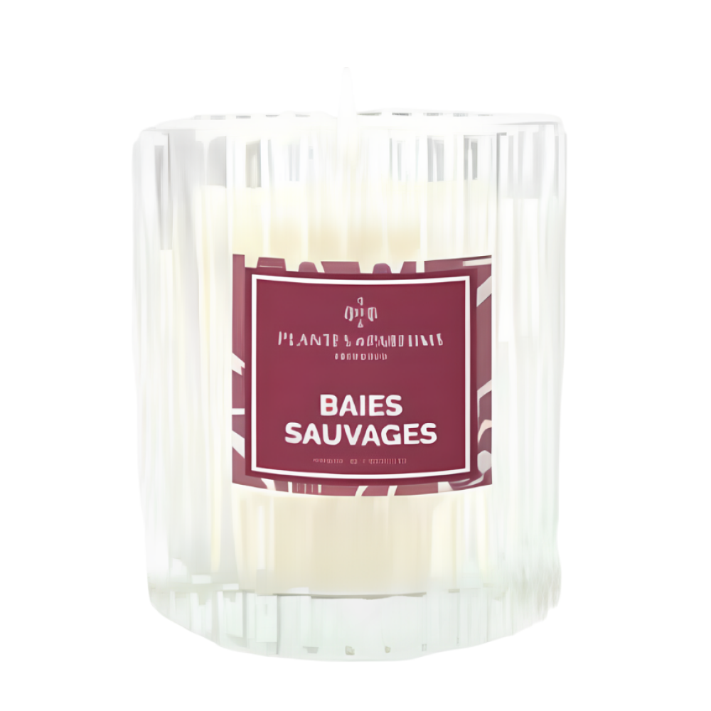 Свеча ароматическая PLANTES&PARFUMS 