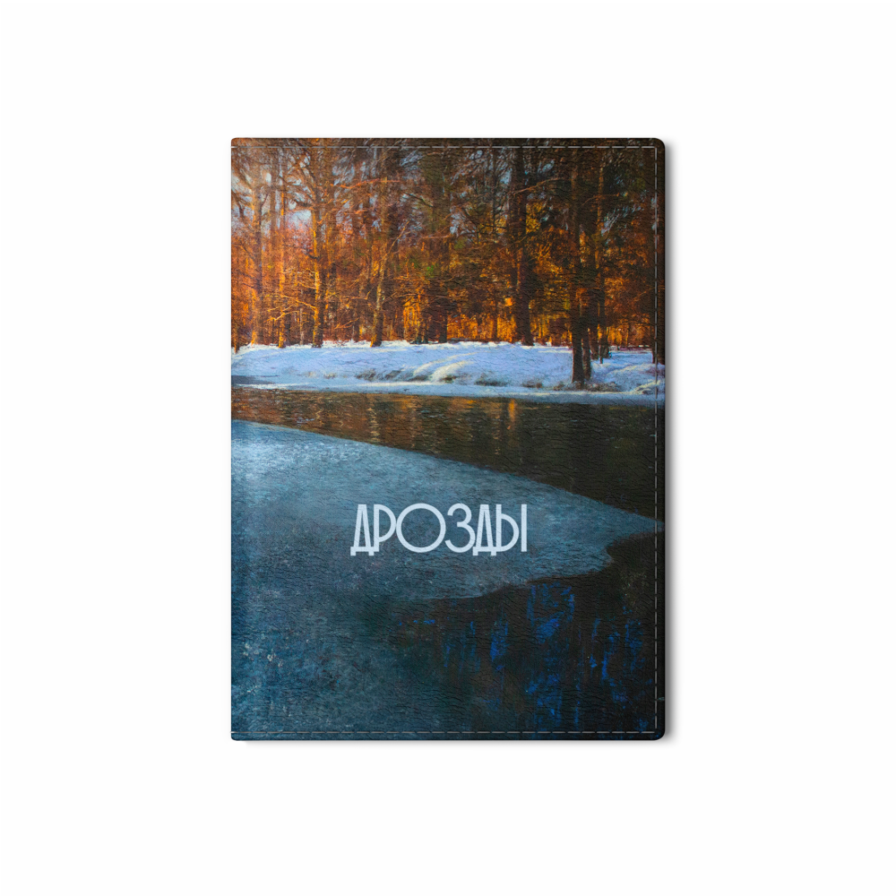 Обложка для паспорта 