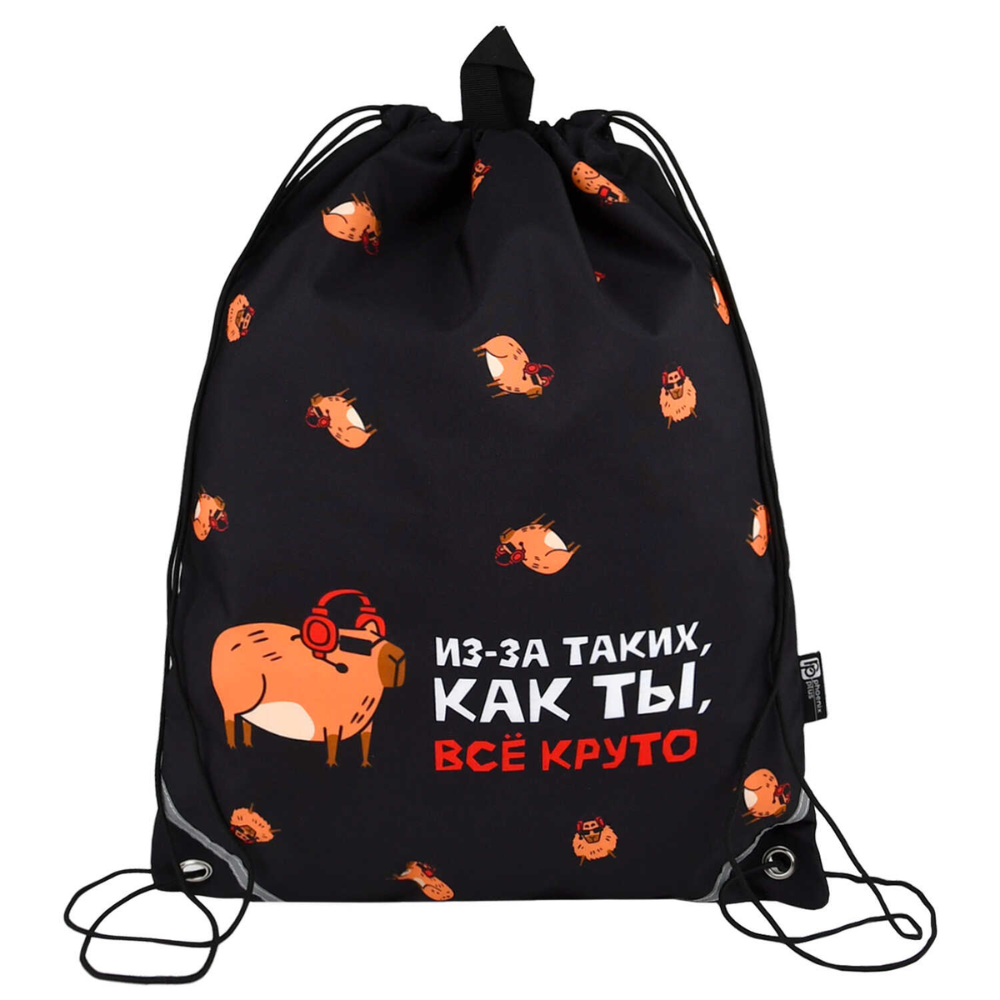 Мешок для обуви 