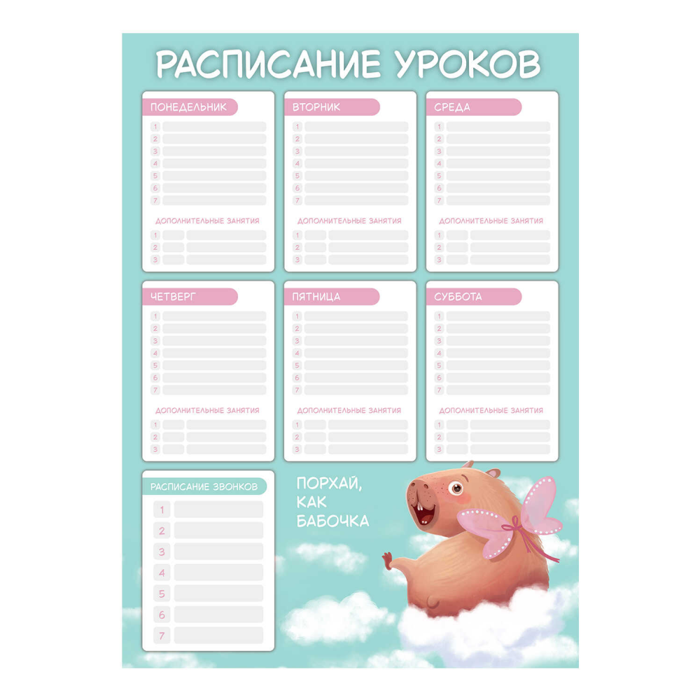 Расписание уроков 