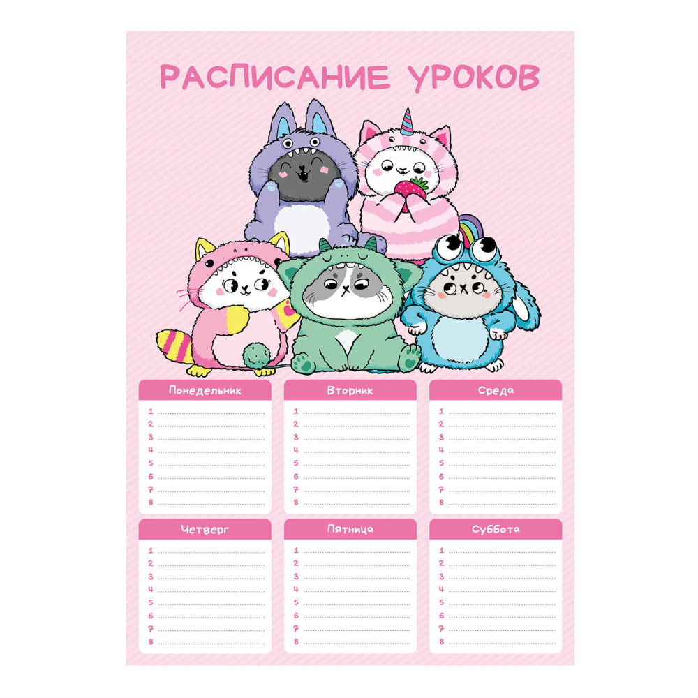 Расписание уроков 