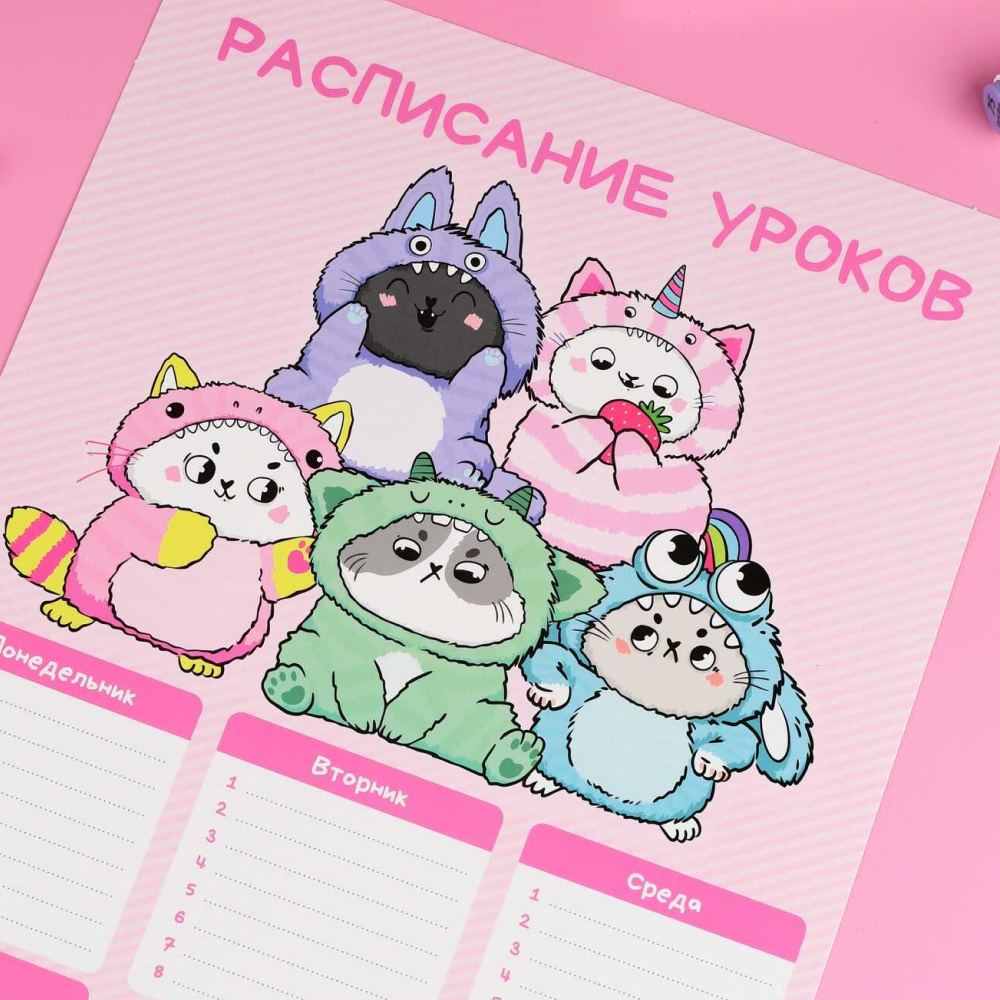 Расписание уроков 