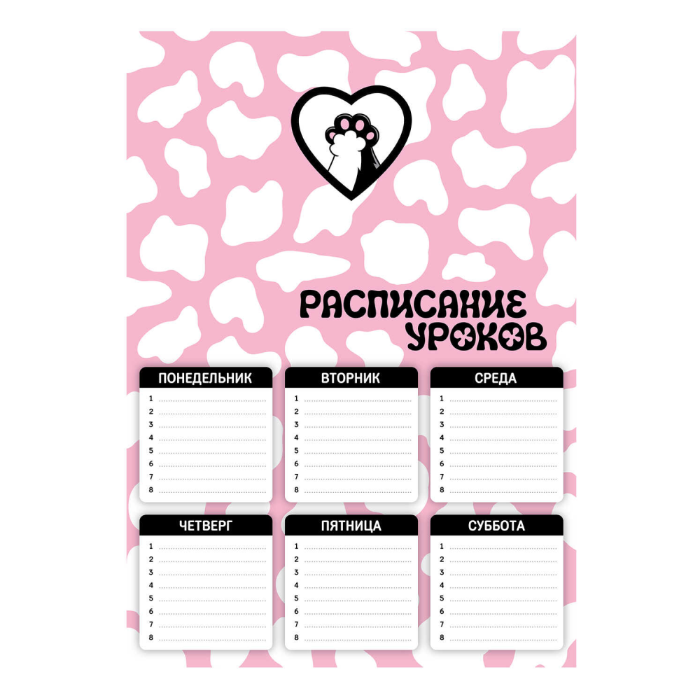 Расписание уроков 