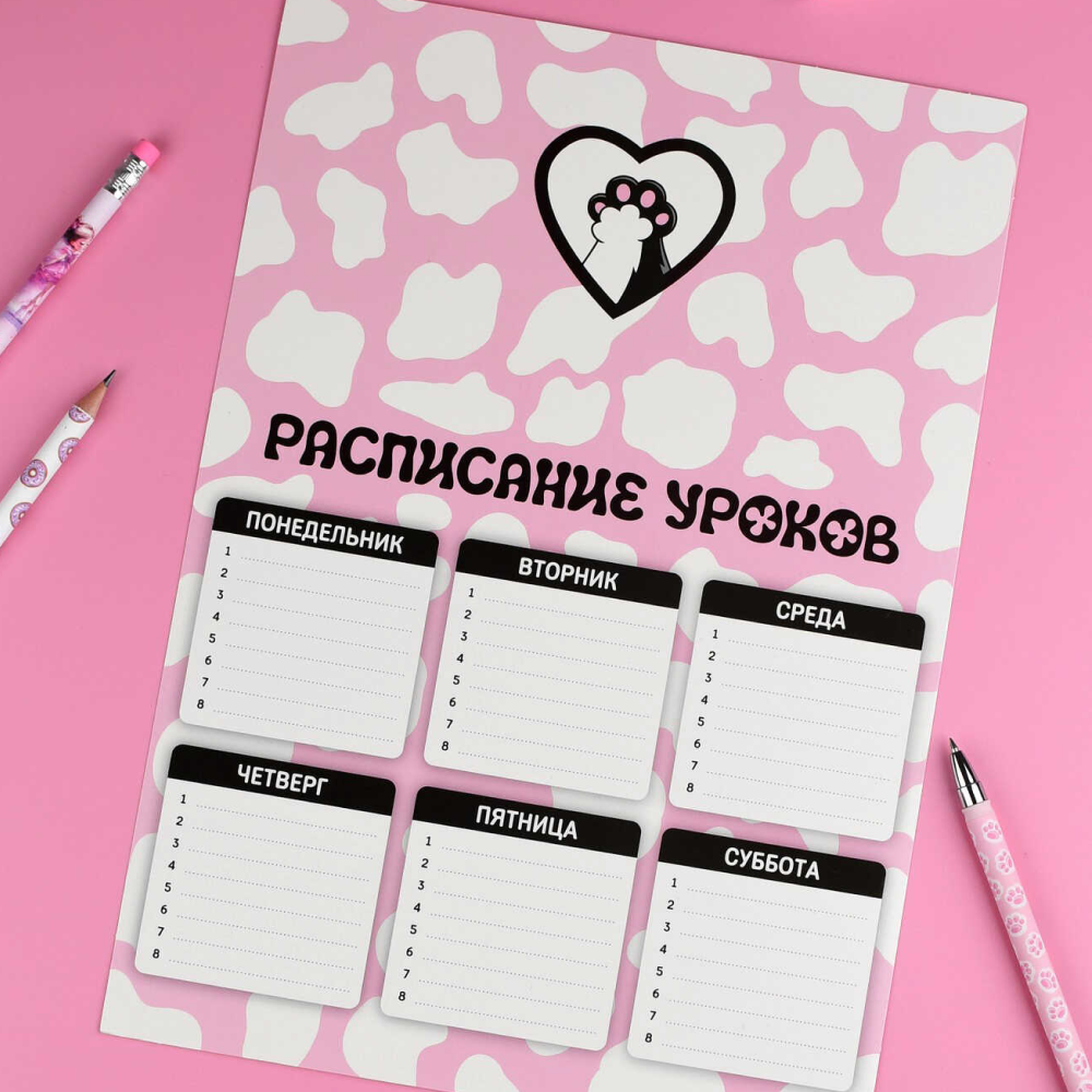 Расписание уроков 