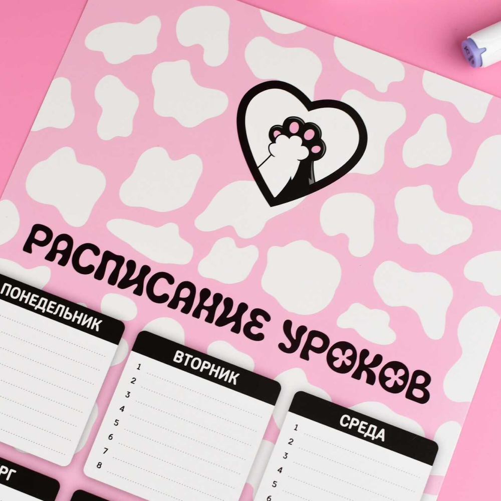Расписание уроков 
