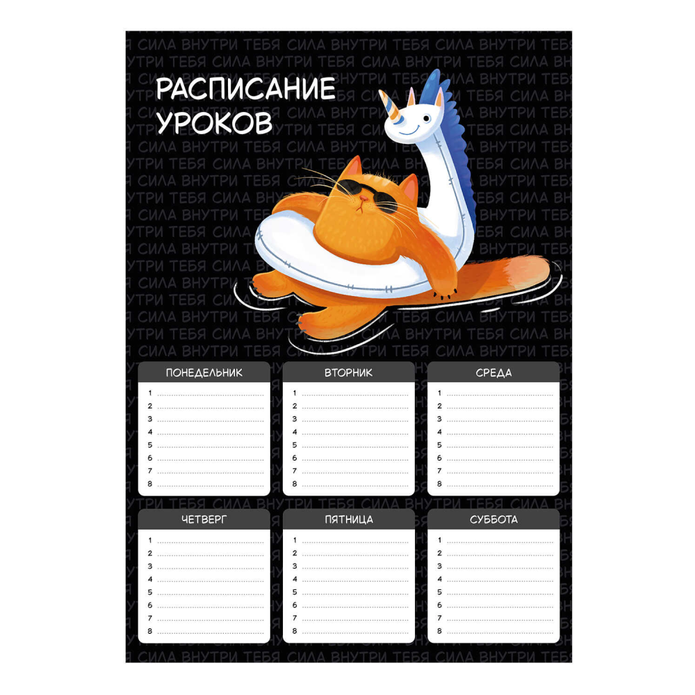 Расписание уроков 