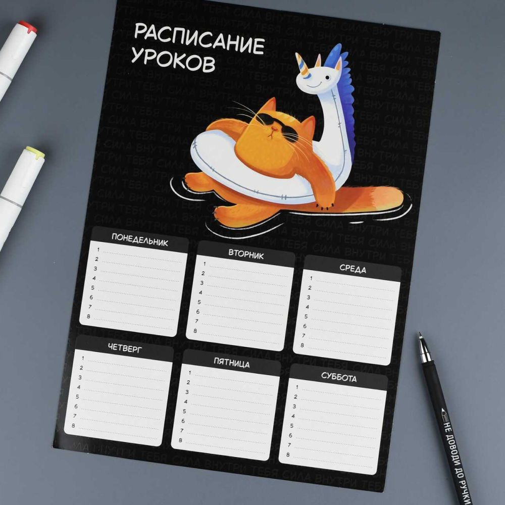 Расписание уроков 