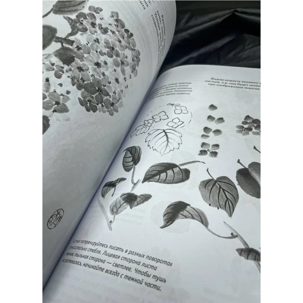 Книга 