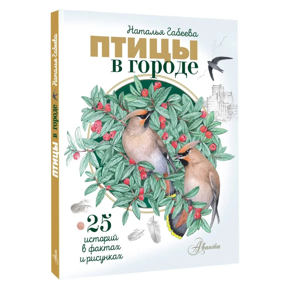 Книга 