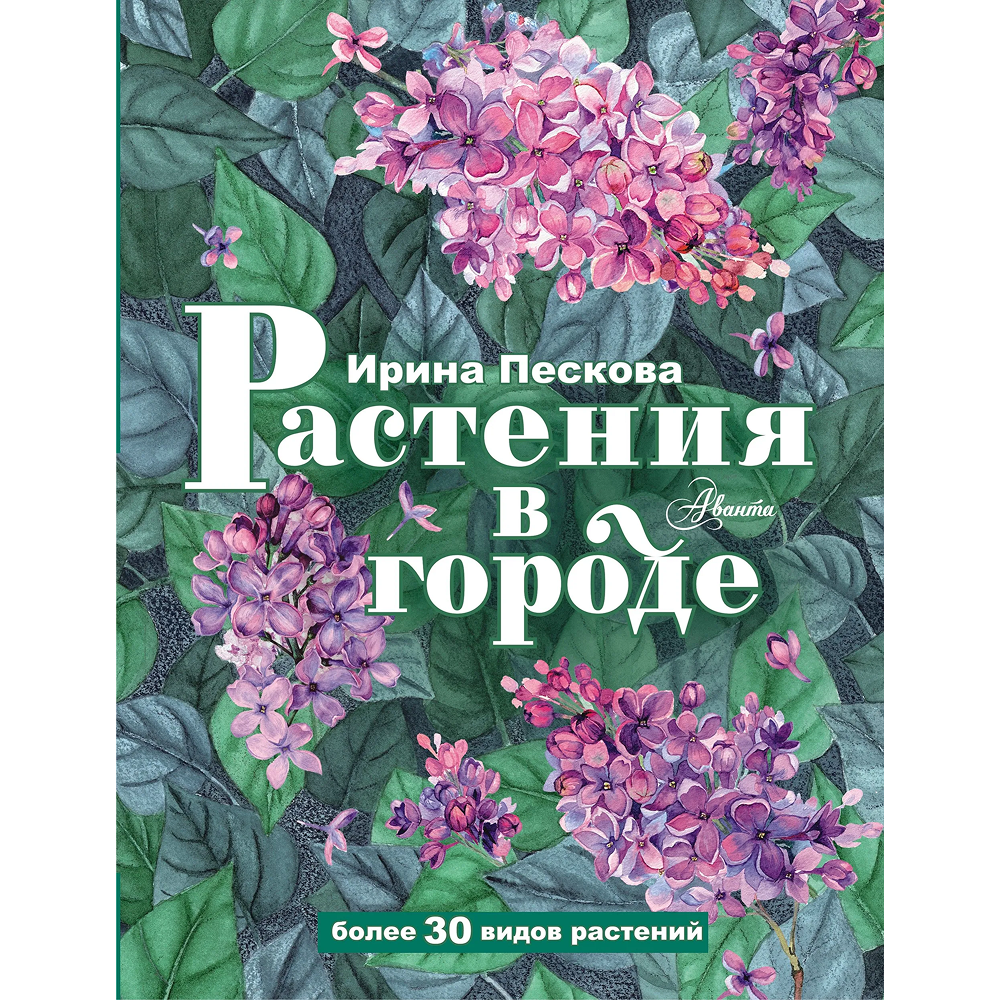 Книга 