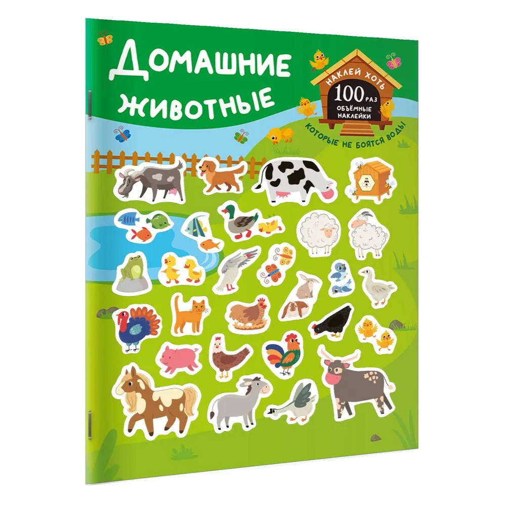 Книга 