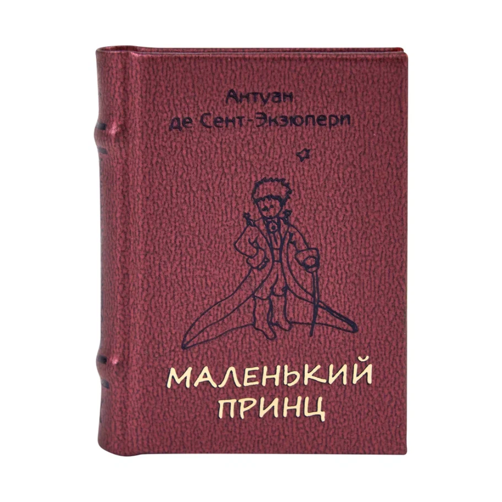 Книга-мини 