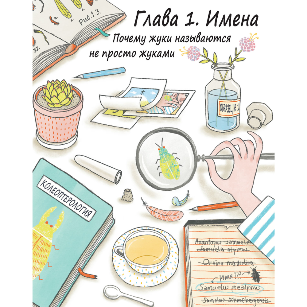 Книга 