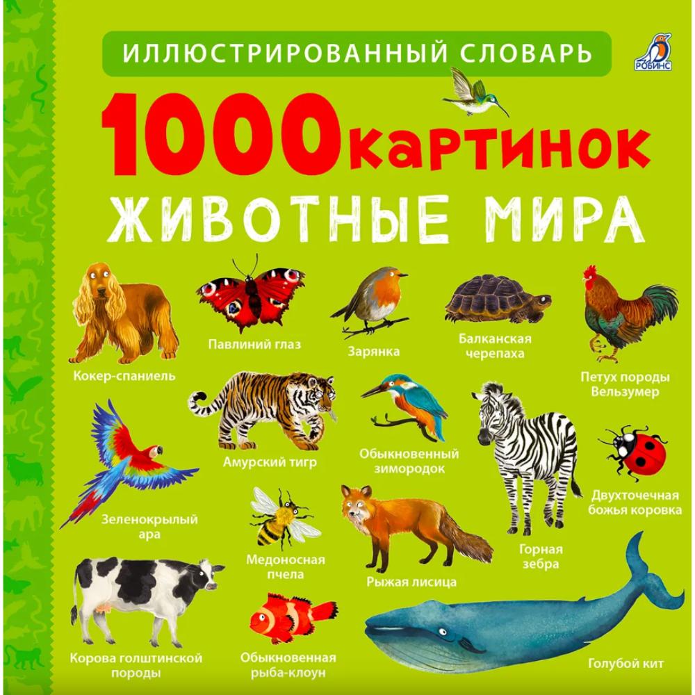 Книга 