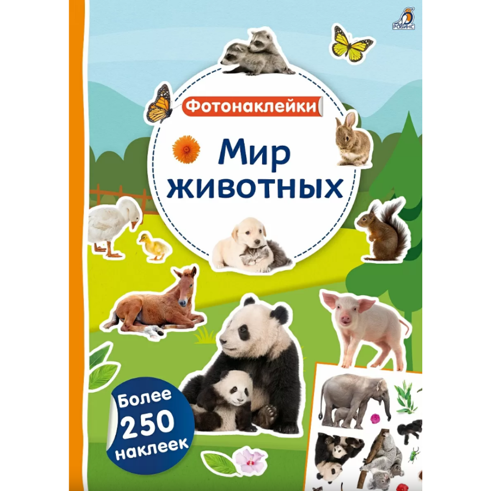 Книга 