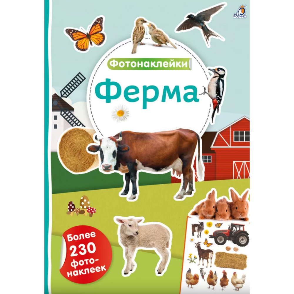 Книга 