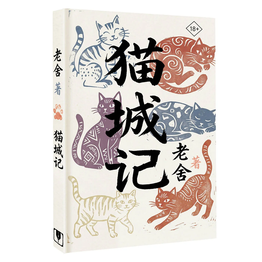 Книга на китайском языке 