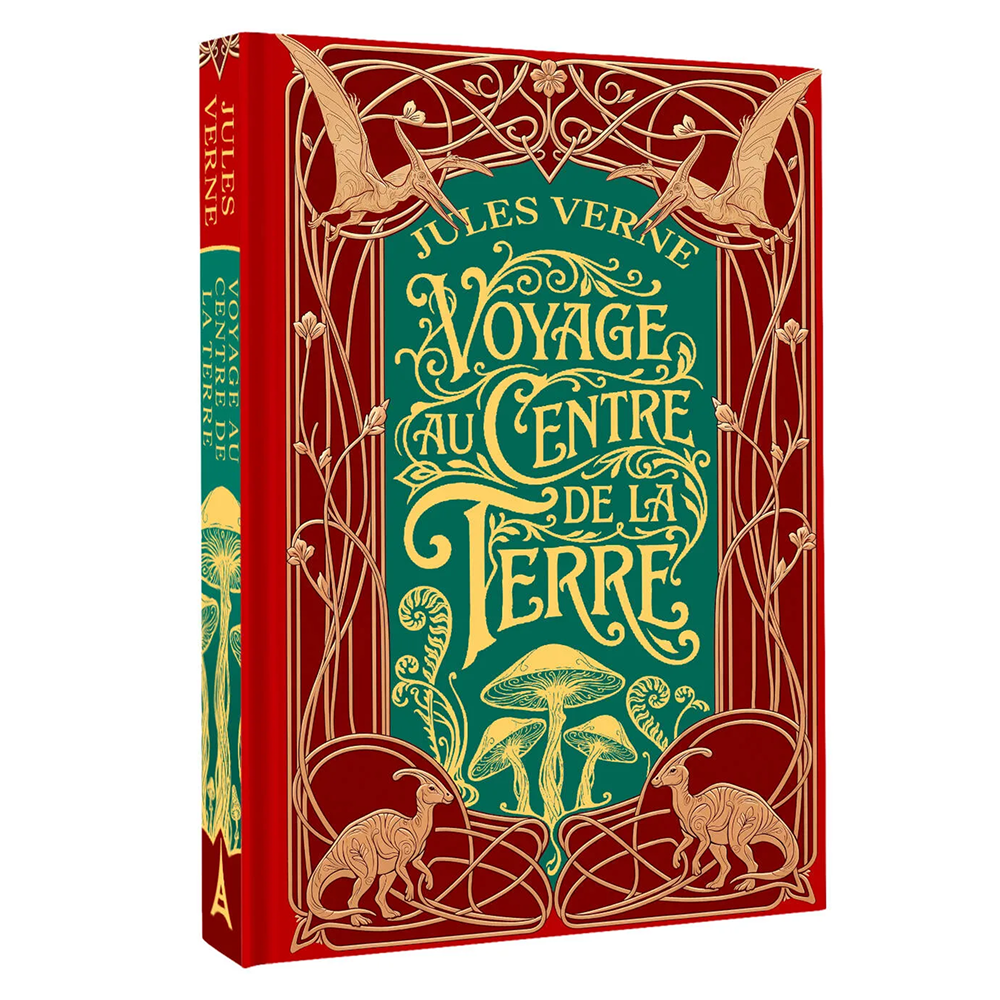 Книга на французском языке 