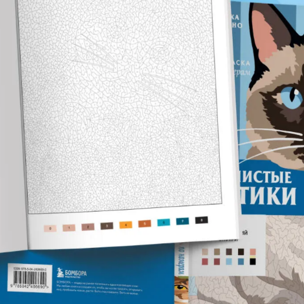 Раскраска по номерам 